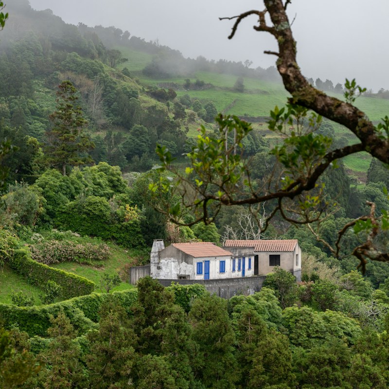 Casa rural numa encosta verde nos Açores